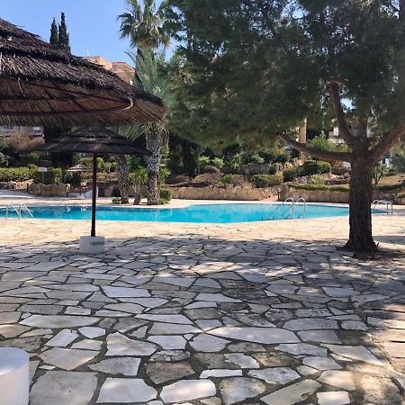 Beautiful Regina Gardens Daire Pafos Dış mekan fotoğraf